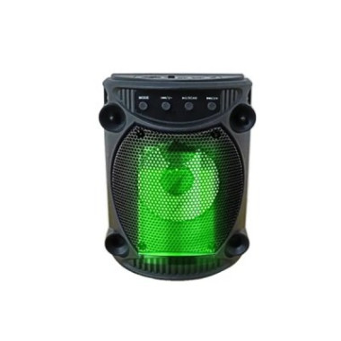 Haut-Parleur Bluetooth Portable Karaoké avec lumière LED