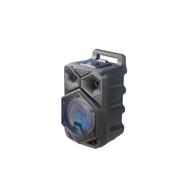 Haut Parleur Bluetooh Sans Fil Avec télécommande pour Karaoke