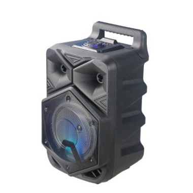 Haut Parleur Bluetooh Sans Fil Avec télécommande pour Karaoke