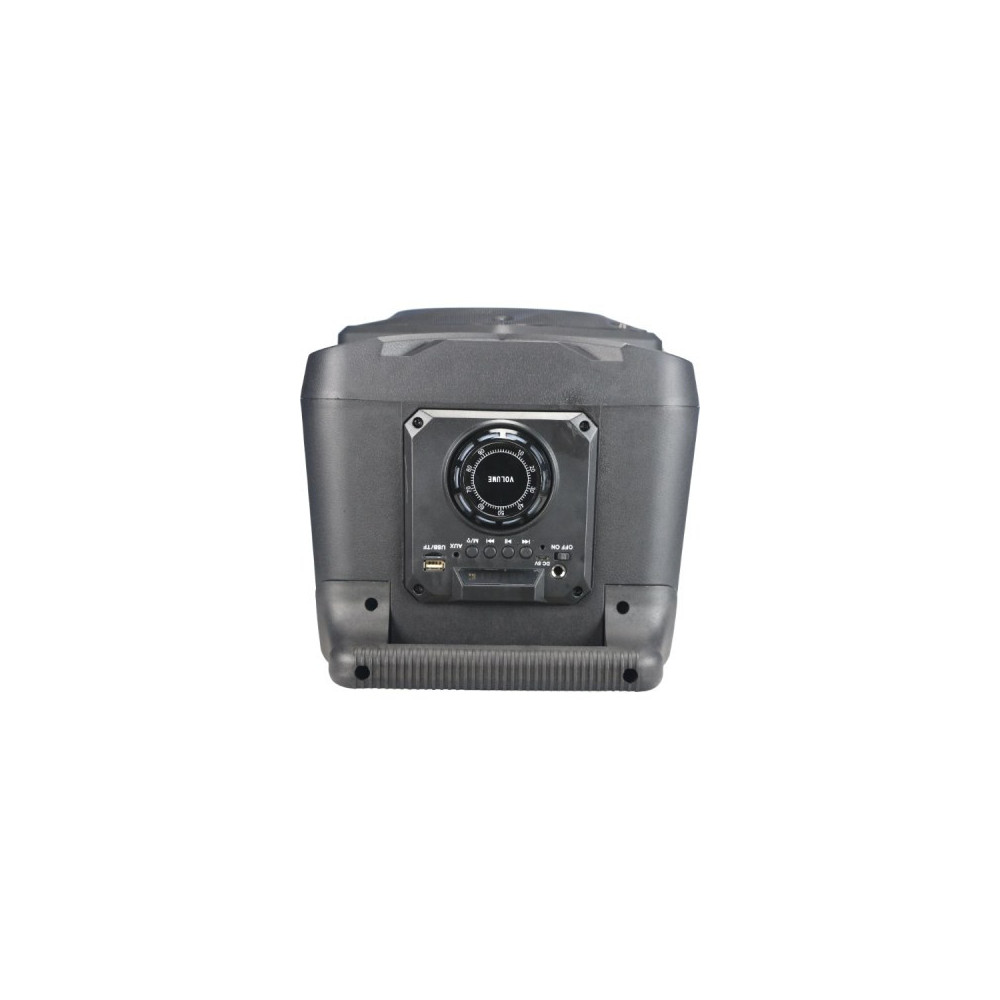 Haut Parleur Bluetooh Sans Fil Avec télécommande pour Karaoke