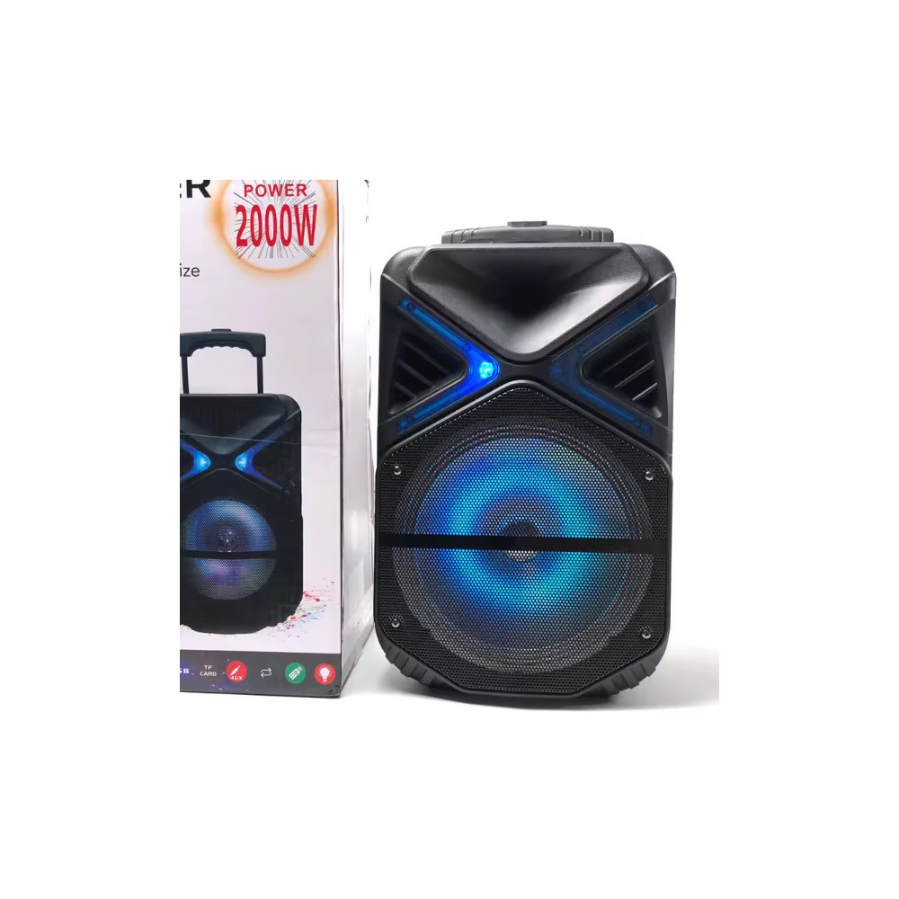 Haut Parleur Bluetooh Sans Fil Avec télécommande pour Karaoke