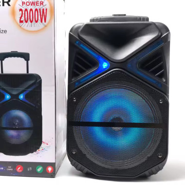 Haut Parleur Bluetooh Sans Fil Avec télécommande pour Karaoke