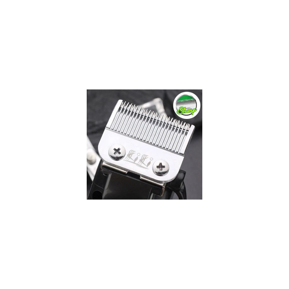 Tondeuse Deluxe professionnel rechargeable