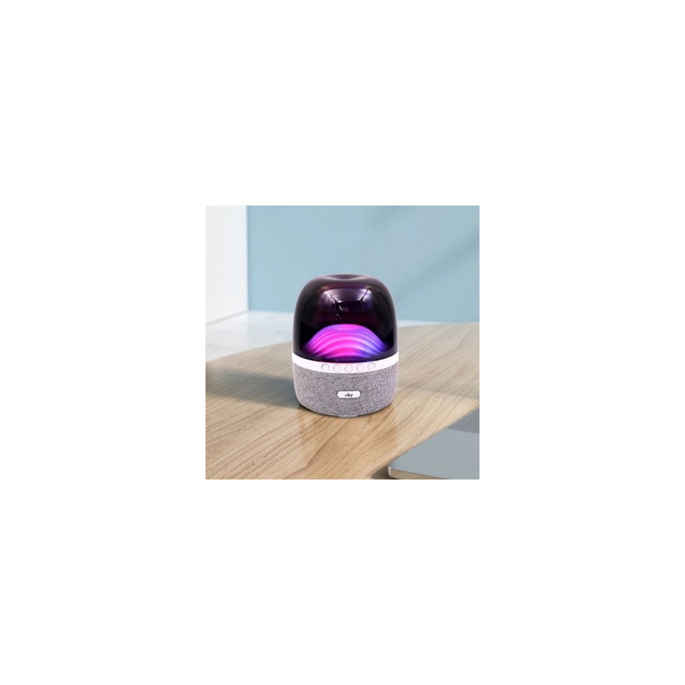 Haut Parleur Bluetooth